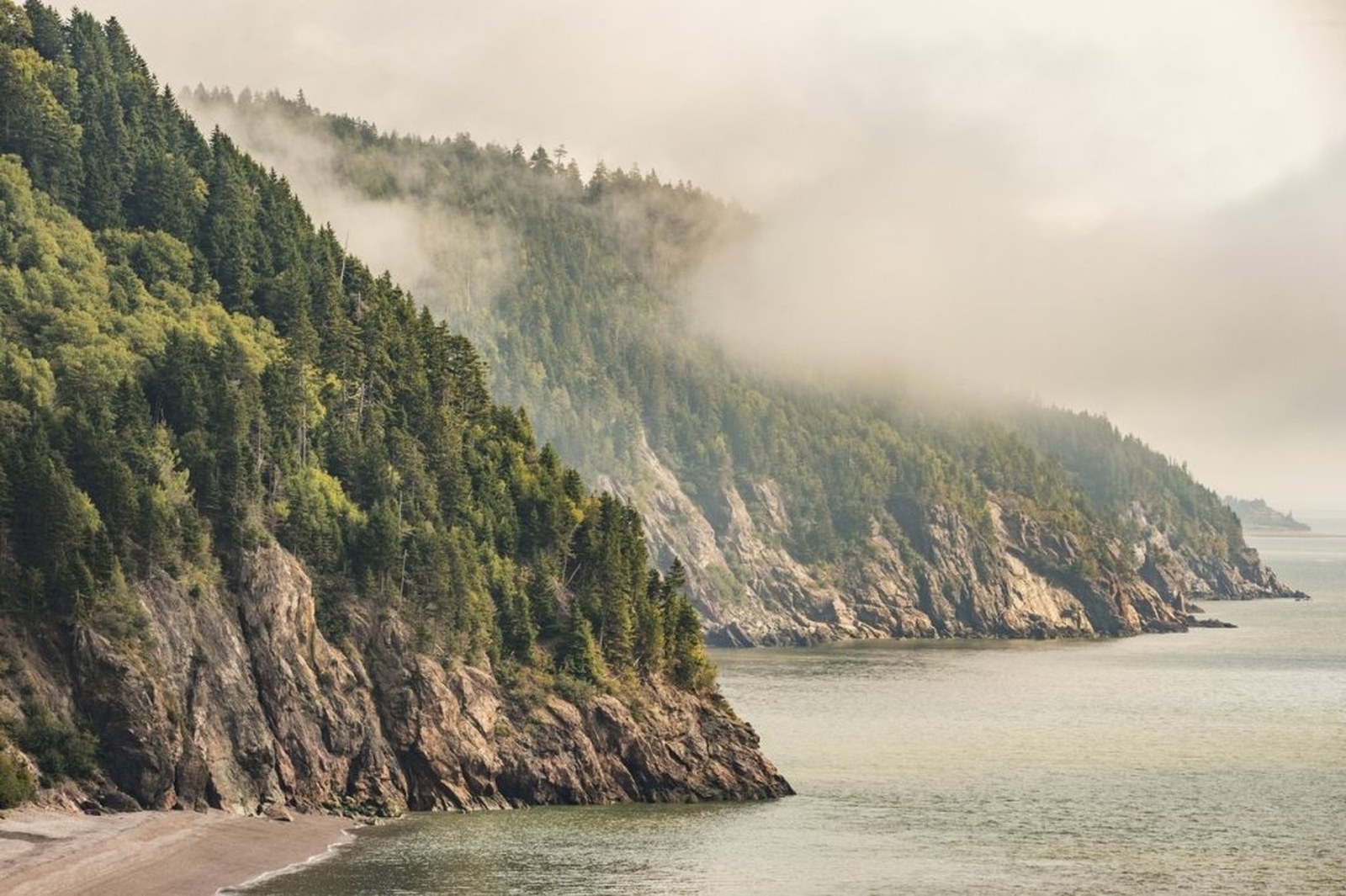Fundy Trail Master Plan